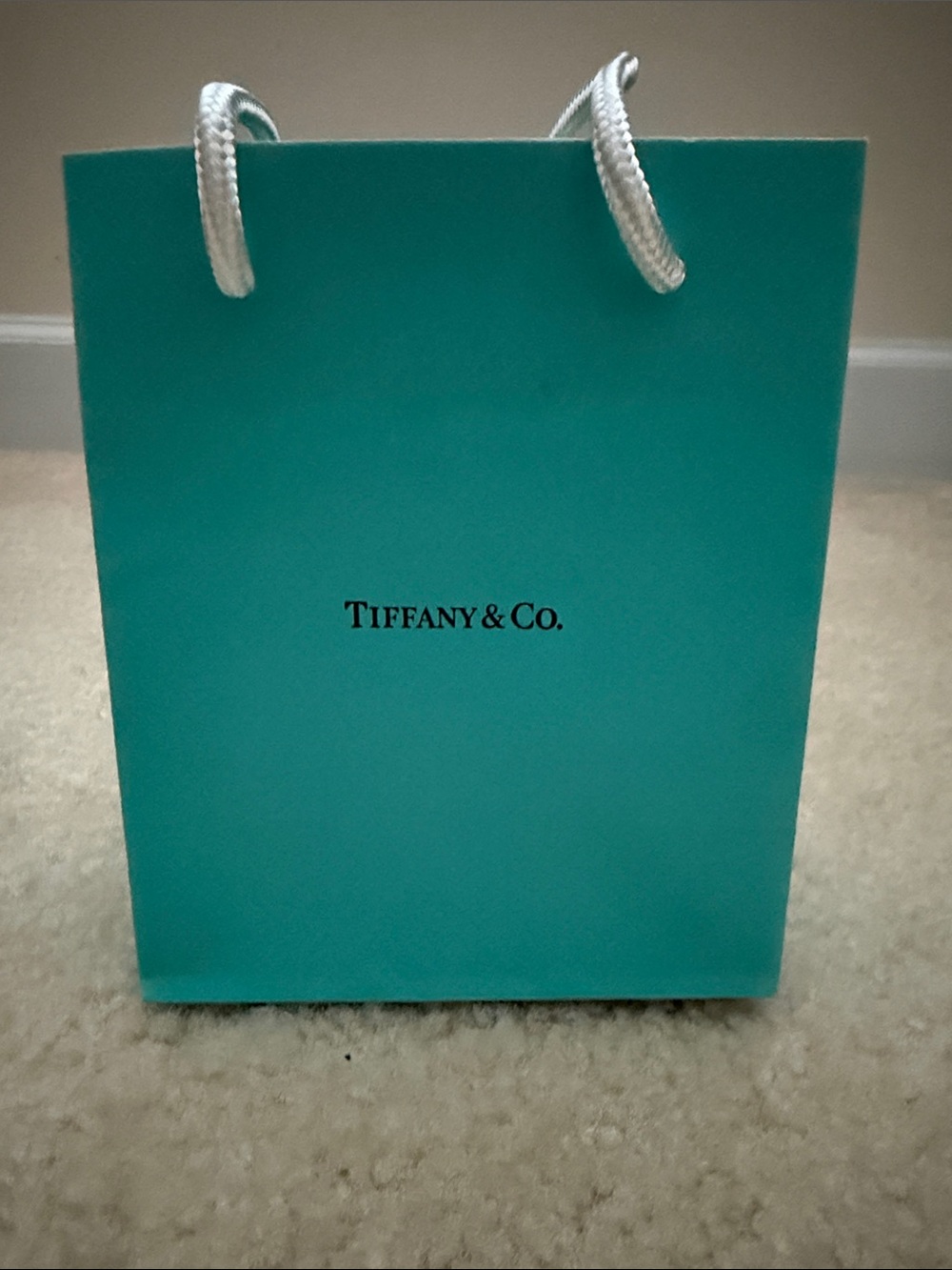 Small Tiffany & Co. shopping bag